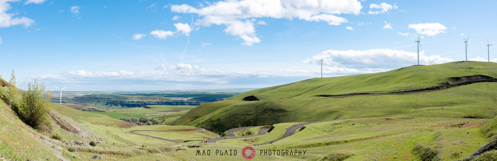 MaryHIll2019-62-Pano