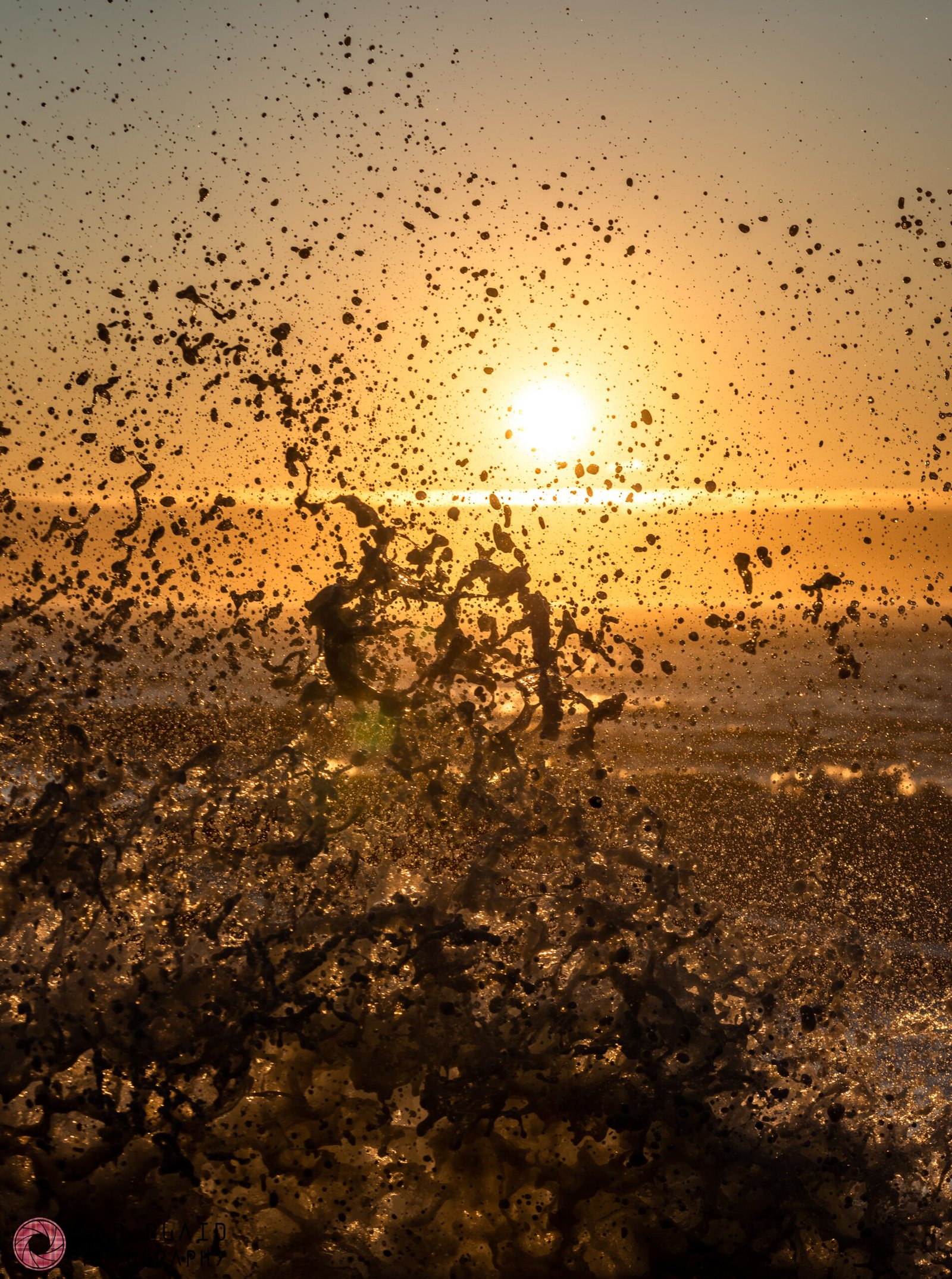 CoastAug182019 (104 of 252)