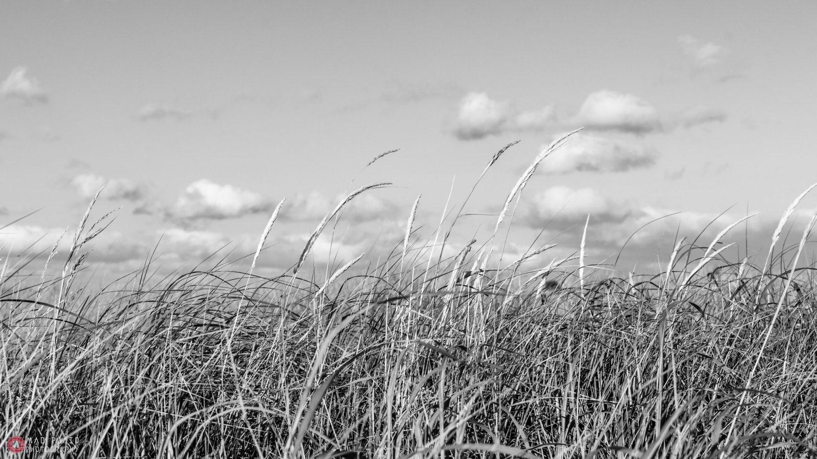 20180719-20180719-DSC_5318