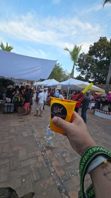 Raicilla festival tonight and all weekend