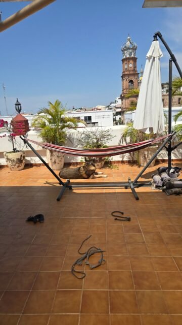 It's too hot for your dog to be outside. Also my dog...