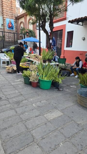 Getting ready for holy week