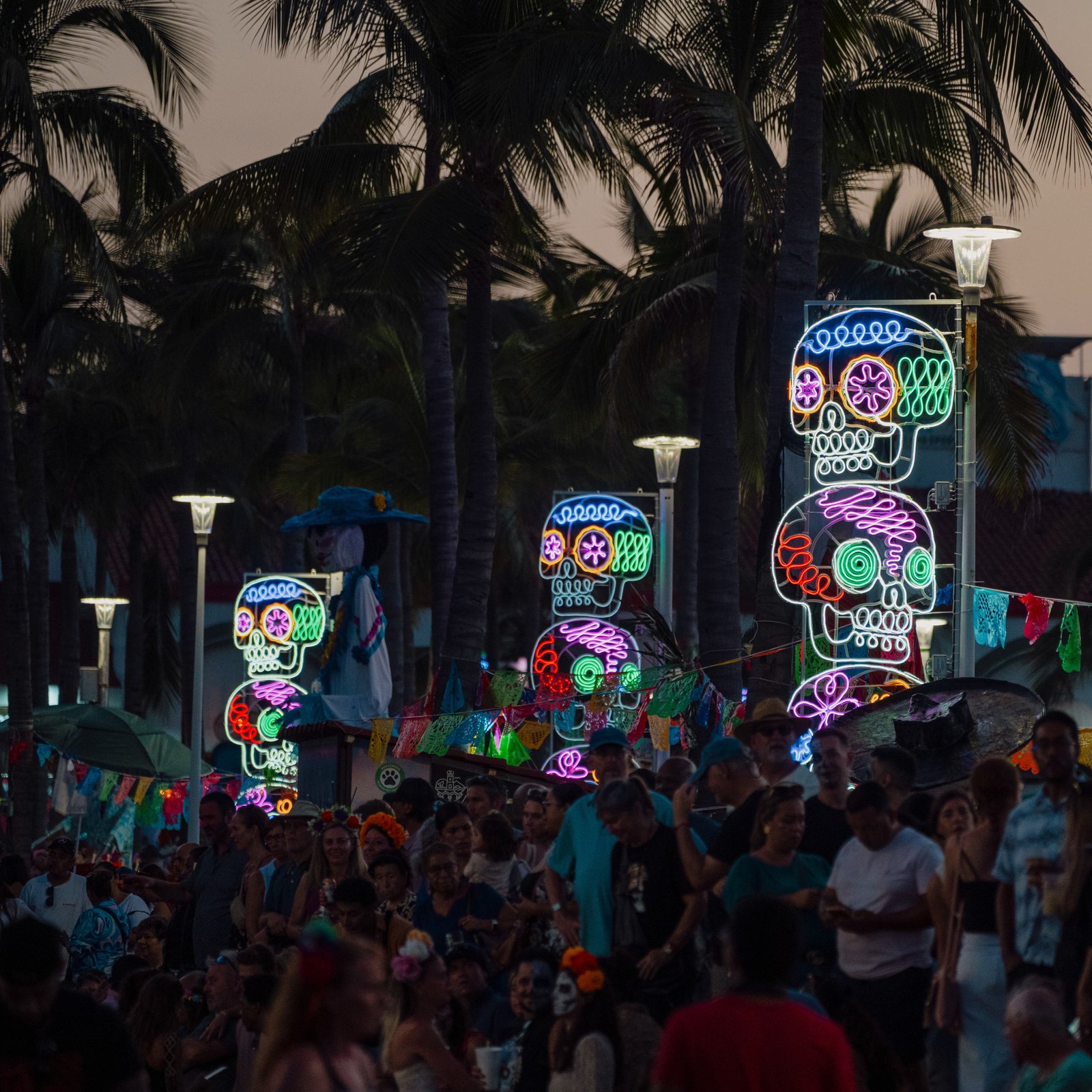Neon calaveras line the street and malecon of Puerto Vallarta during Dia de Los Muertos. As we speak the cantrina is being built and the question on everyone's mind: What color will she be this year?
#puertovallarta #mexico #visitmexico #dayofthedead #diademuertos