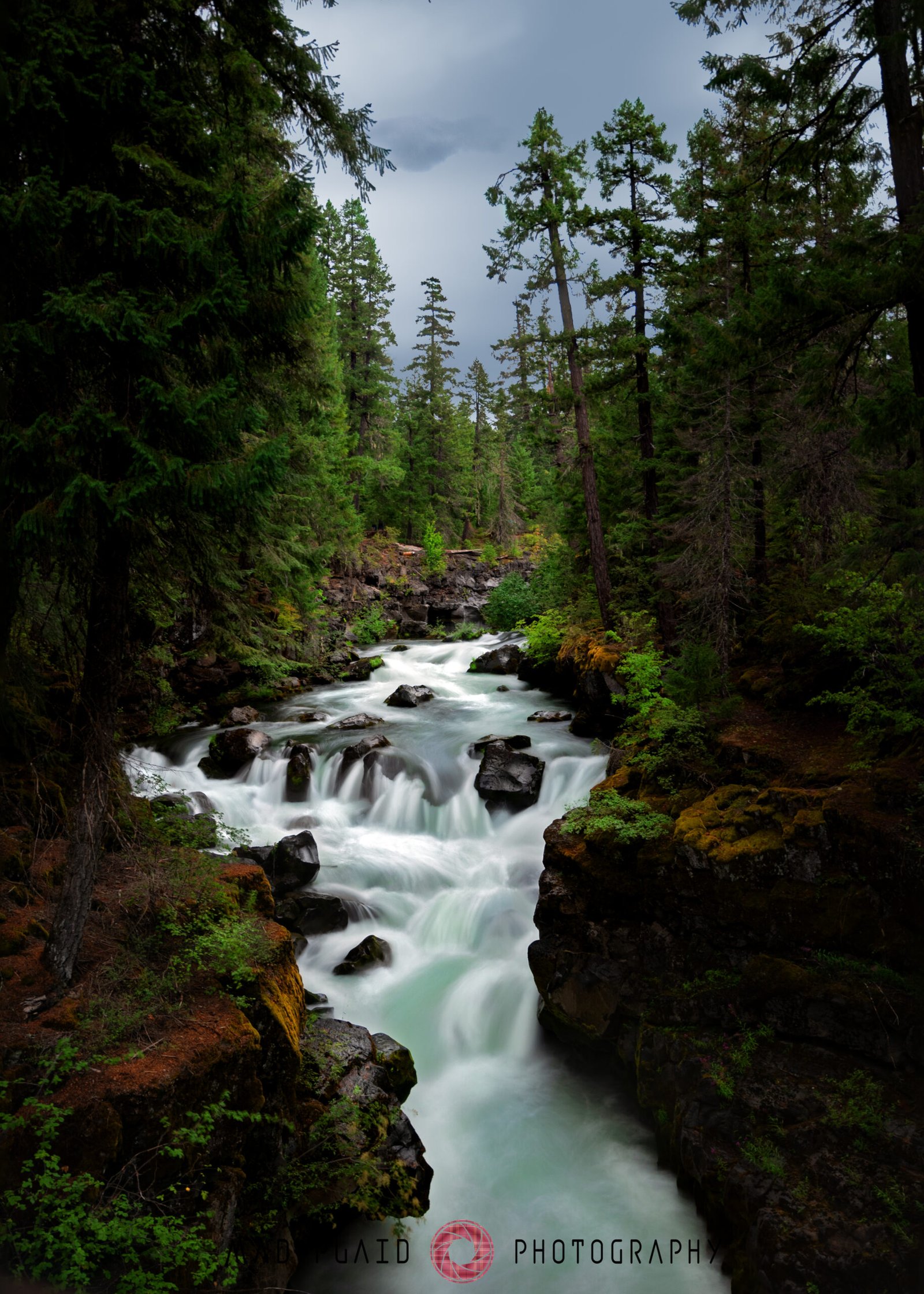 Ashland 2019 (528 of 555)-Edit